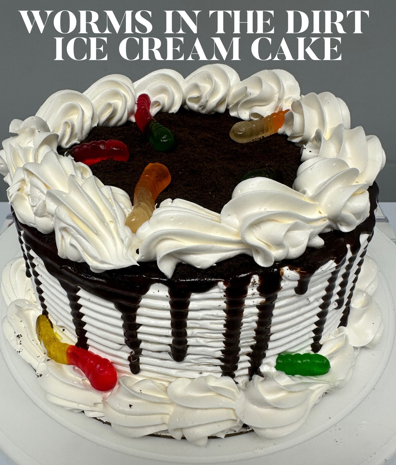 Worms and Dirt Ice Cream Cake